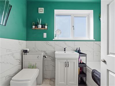 Picture 19